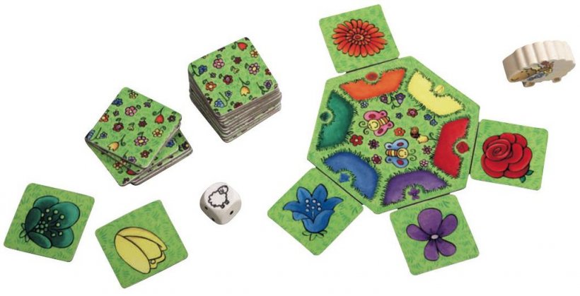 Belfiorella: materiali Belfiorella: materiali