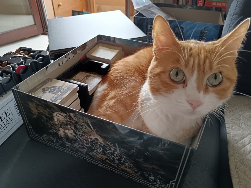 gatto-rosso-in-scatola-trudvang-legends