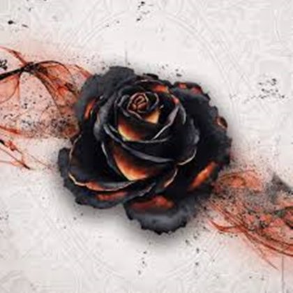 Black Rose Wars