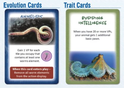 dominant species: marine esempi di carte