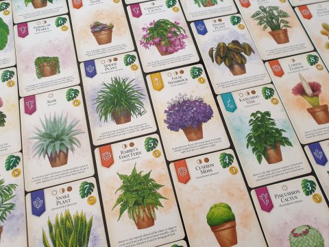 Verdant: le bellissime carte con le piante