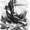 cacarchia: Amduscias