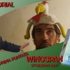 Duotorial #01 - Wingspan