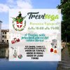 TreviSoga