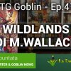 TG Goblin episodio 41