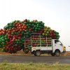 overloaded truck