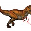 T-Rex: mani