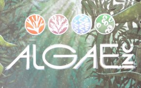 Algae Inc.