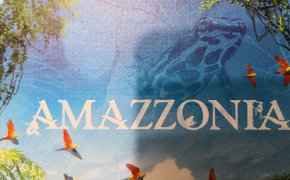 Amazzonia – gioco da tavolo