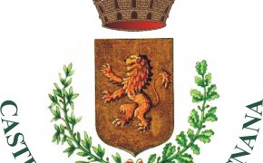 stemma Castelnuovo Garfagnana