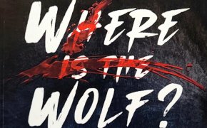 Where is the Wolf? librogame