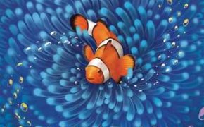 Shallow Sea – Great Barrier Reef