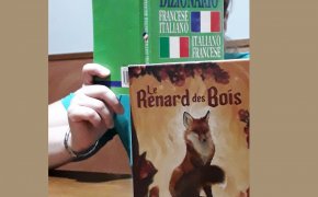 copertina the fox in the forest