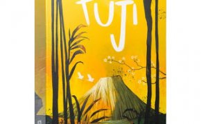 Fuji: il gioco della fuga intelligente!! : Prime impressioni