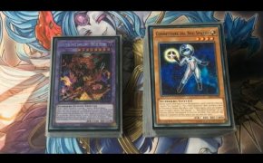 Dark Warrior Deck Profile | Yu-Gi-Oh!