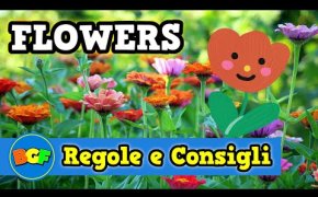 FLOWERS | Gioco di Carte per Bambini con Fiori | Tutorial 126 Come si gioca