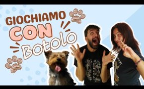 Cani ovunque, il miglior set di UnMatched e un gioco fuori tema! Diario di board...games #199