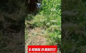 Un Reveal Bestiale!!!