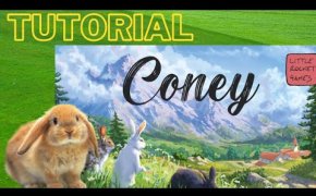 Coney : Gioco da Tavolo sui Conigli! Tutorial e Recensione
