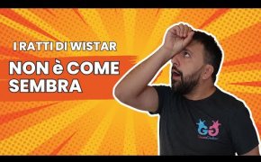 I Ratti di Wistar non sapete cosa vi aspetta! Unboxing dell'ultimo gioco di Sabia e Luciani