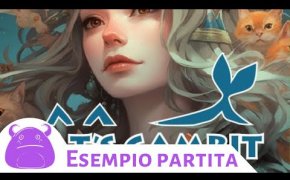 Cat's Gambit - 2° Esempio di Gioco