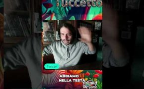 Scopri La Foresta Misteriosa: Gioco Memorabile e Cooperativo
