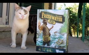 Freshwater fly : tutorial e recensione del gioco sulla pesca + modalità solitario
