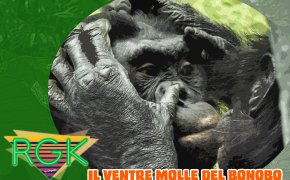 Podcast: RGK#21: Il ventre molle del bonobo