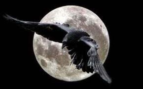 [Report] Il Trono di Spade in 12: corvi messaggeri II