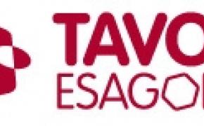[News] Tavola Esagonale 2016: call for paper