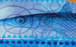 BaRRacuda – Unboxing