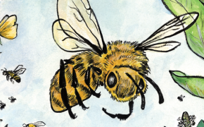 Bee Lives, summer is coming