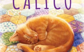 [Recensione] Calico