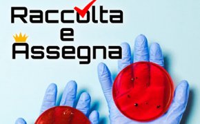 [Raccolta e Assegna] Il gioco più virale