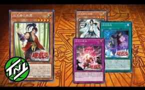 Dual Avatar Deck Profile | Può Competere? | YuGiOh!