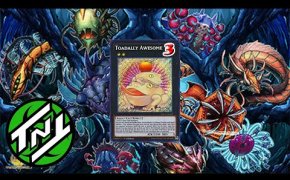 Paleozoic Frog Deck Profile | Post Banned List | YuGiOh!