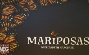 Mariposas