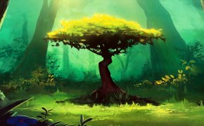 Photosynthesis – Unboxing