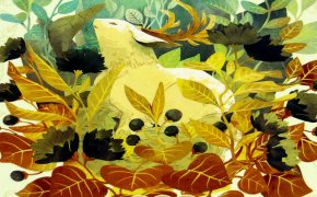 Spirits of the Forest – Unboxing