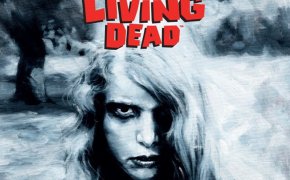 Night of the Living Dead: copertina