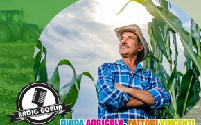 Podcast: Guida Agricola, fattori vincenti