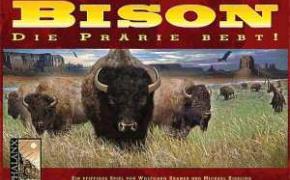 Bison: Thunder on the Prairie