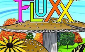 Eco Fluxx