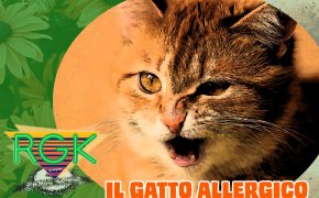 Podcast: RGK #3: il gatto allergico