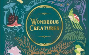 Wondrous Creatures - Recensione