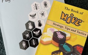 The Book of Hive e Play Hive like a Champion | Two is megl che one