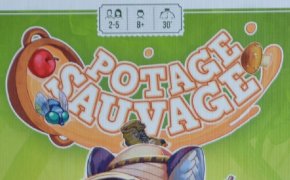 Potage Sauvage
