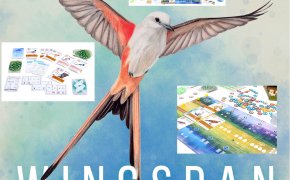 Wingspan: collage di immagini