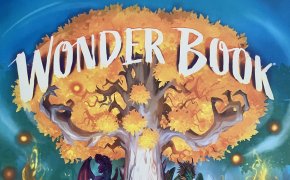 Wonder Book