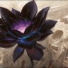 blacklotus